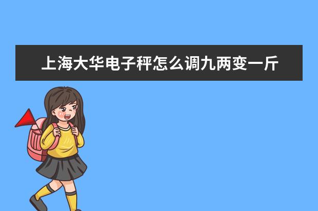 上海大华电子秤怎么调九两变一斤