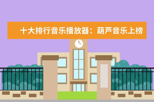 十大排行音乐播放器：葫芦音乐上榜，第九汇聚电音DJ