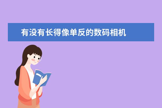 有没有长得像单反的数码相机