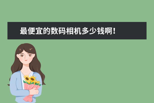 最便宜的数码相机多少钱啊！