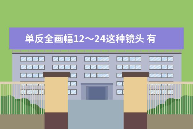 单反全画幅12～24这种镜头 有几个选择？