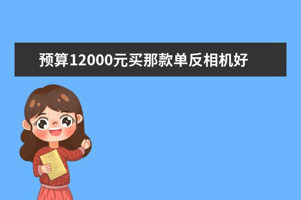 预算12000元买那款单反相机好？含镜头