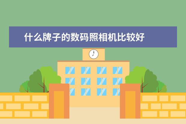 什么牌子的数码照相机比较好