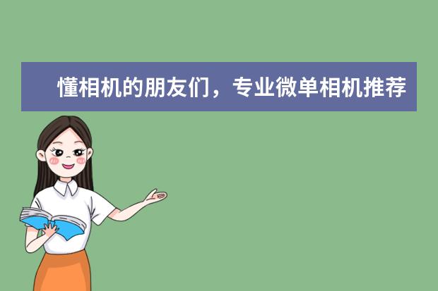 懂相机的朋友们，专业微单相机推荐什么品牌啊？