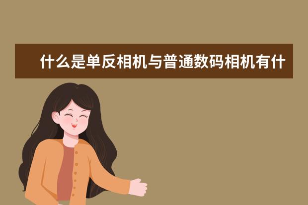 什么是单反相机与普通数码相机有什么区别?