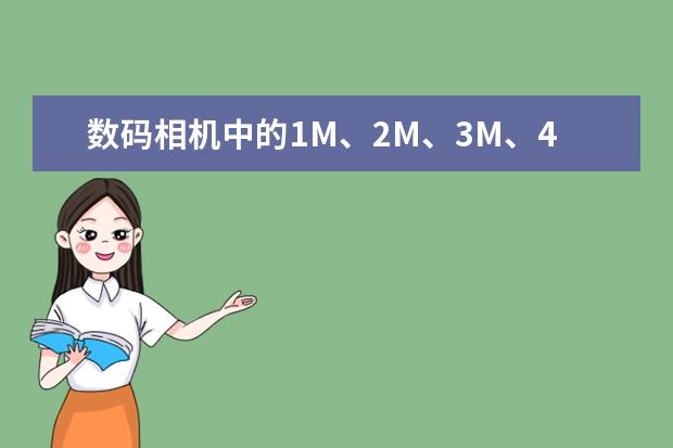数码相机中的1M、2M、3M、4M、5M、VGA表示的是像素还是尺寸?
