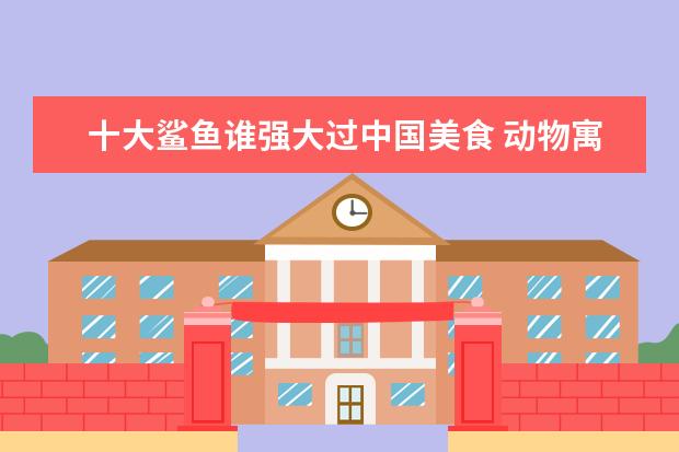 十大鲨鱼谁强大过中国美食 动物寓言故事