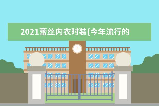 2021蕾丝内衣时装(今年流行的女款的内衣)