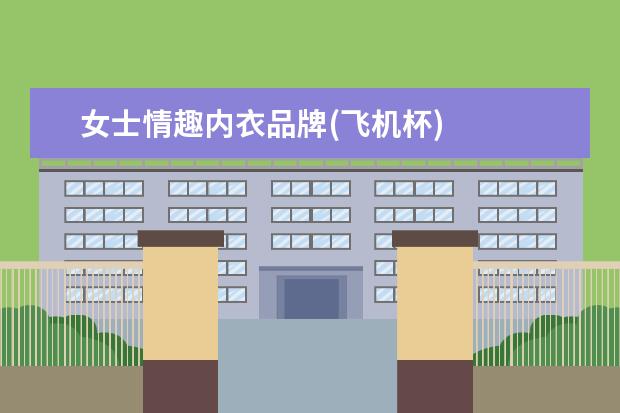 女士情趣内衣品牌(飞机杯)