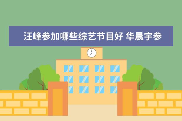 汪峰参加哪些综艺节目好 华晨宇参加过哪些综艺节目?