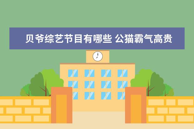 贝爷综艺节目有哪些 公猫霸气高贵的名字有哪些?