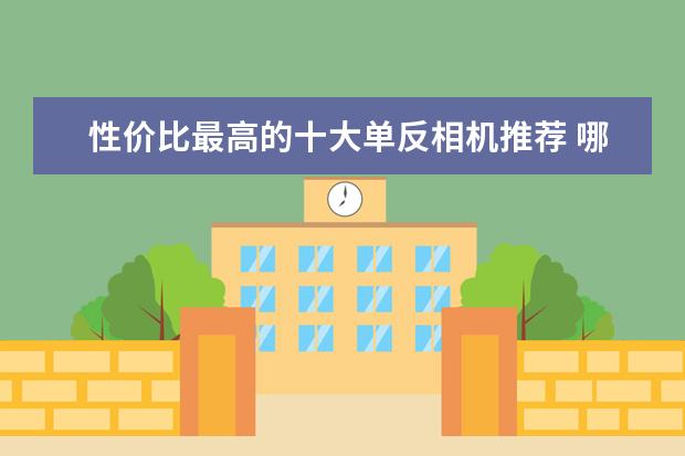 性价比最高的十大单反相机推荐 哪款长焦相机最好