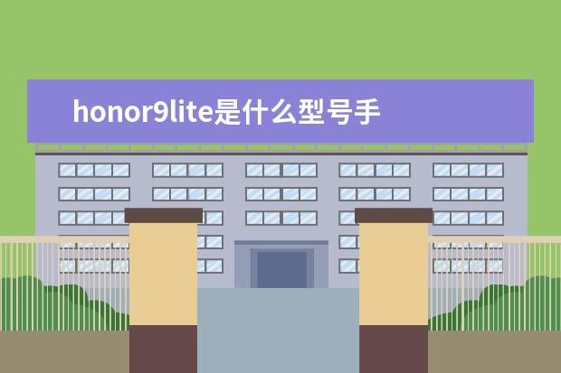 honor9lite是什么型号手机[honor9lite是什么型号手机LLD_AL10] 苹果手机设置黑名单对方什么提示[iphone信息黑名单对方怎么提示]