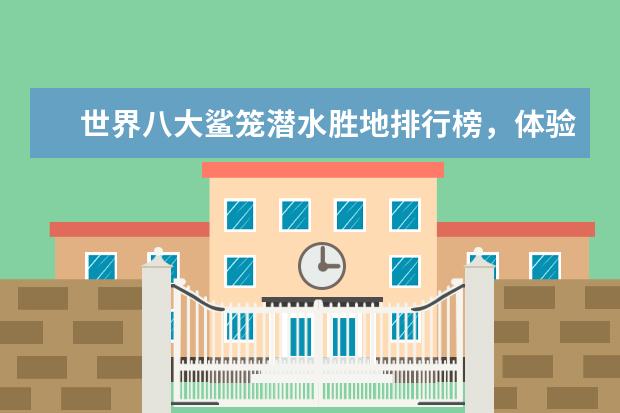 世界八大鲨笼潜水胜地排行榜，体验惊险刺激的与鲨共舞 世界十大最具魅力岛屿排行榜