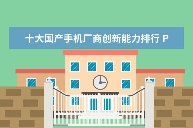 十大国产手机厂商创新能力排行 P30