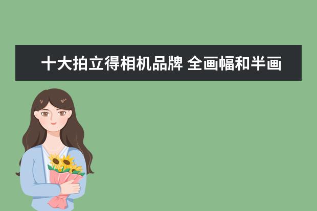 十大拍立得相机品牌 全画幅和半画幅相机用起来差异有多大