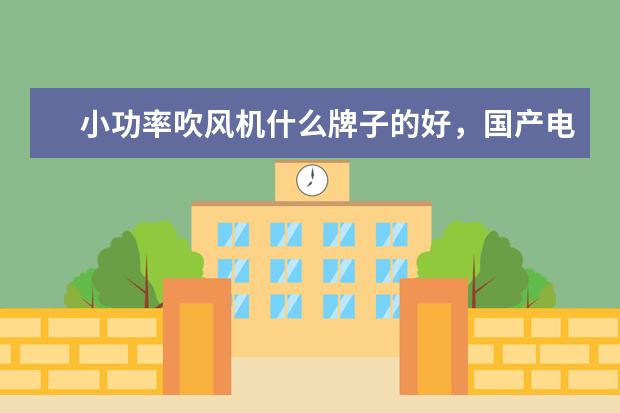 小功率吹风机什么牌子的好，国产电吹风机十大名牌排名(附最新排行榜前十名单) 女排名将张常宁、唐宁雅现场教小朋友打排球(附最新排行榜前十名单)