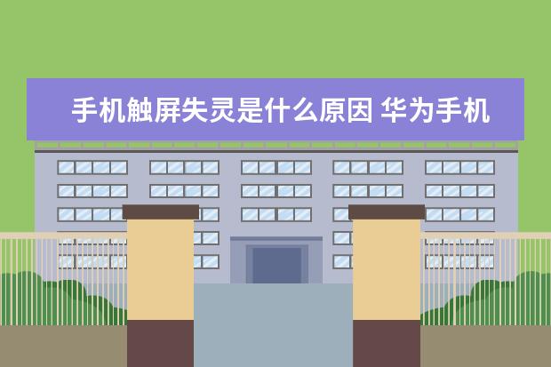 手机触屏失灵是什么原因 华为手机有OTg功能吗[华为手机可以使用OTG吗]