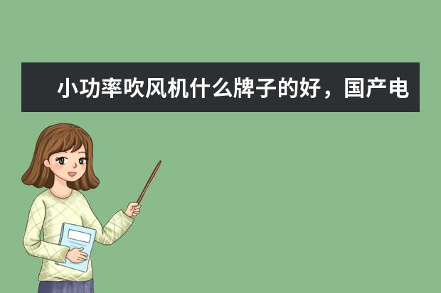 小功率吹风机什么牌子的好，国产电吹风机十大名牌排名(附最新排行榜前十名单) 安徽省发明专利百强排行榜