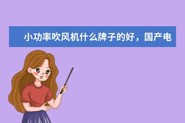 小功率吹风机什么牌子的好，国产电吹风机十大名牌排名(附最新排行榜前十名单) 重点互联网企业社会公益责任排名发布，伊对位列第18名(附最新排行榜前十名单)