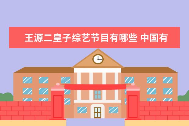 王源二皇子综艺节目有哪些 中国有哪些小童星?