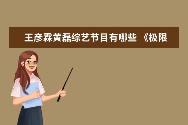 王彦霖黄磊综艺节目有哪些 《极限挑战》中,哪些明星是常驻的?