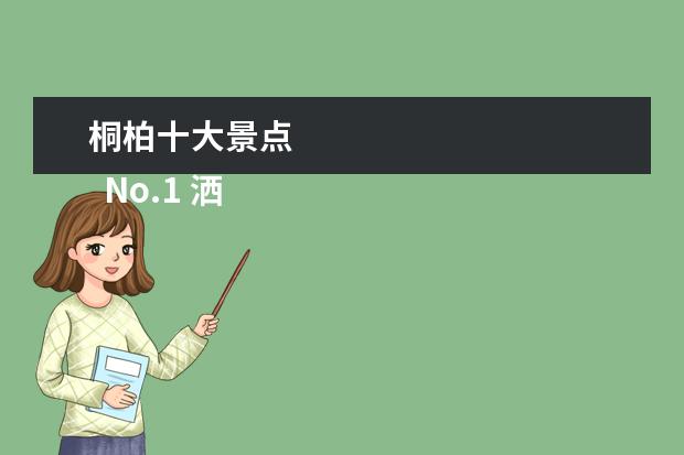 桐柏十大景点 
  No.1 洒金谷风景名胜区