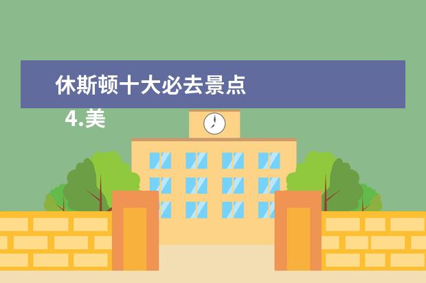 休斯顿十大必去景点
4.美国休斯顿城市图片