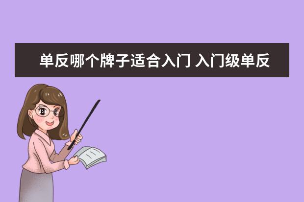 单反哪个牌子适合入门 入门级单反买什么牌子的好???