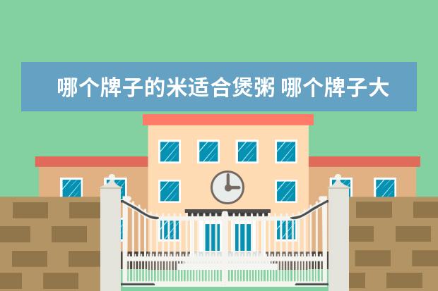 哪个牌子的米适合煲粥 哪个牌子大米煮粥好吃