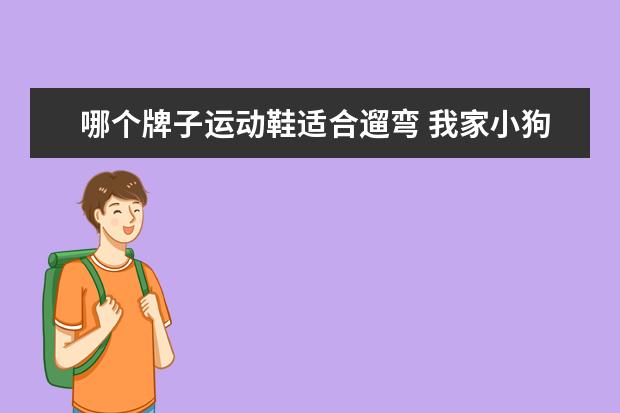 哪个牌子运动鞋适合遛弯 我家小狗到处排泄,怎么叫道它?