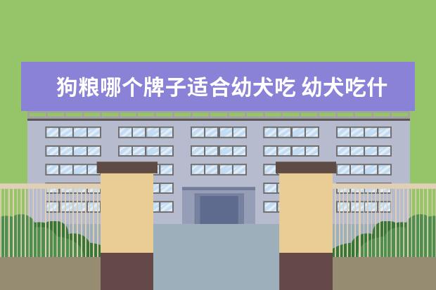 狗粮哪个牌子适合幼犬吃 幼犬吃什么狗粮好?
