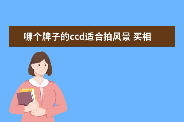 哪个牌子的ccd适合拍风景 买相机,什么牌子的好?参数呢?
