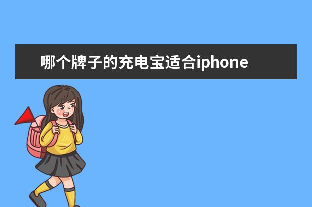 哪个牌子的充电宝适合iphone 充电宝口碑最好的牌子是什么?