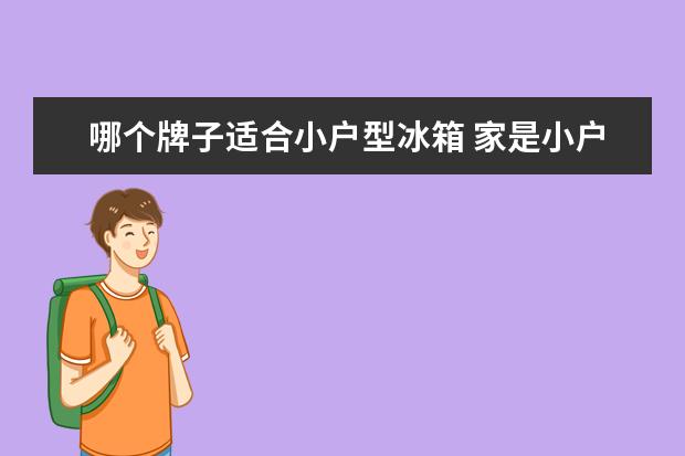 哪个牌子适合小户型冰箱 家是小户型的朋友们,有比较薄的冰箱推荐吗? - 百度...
