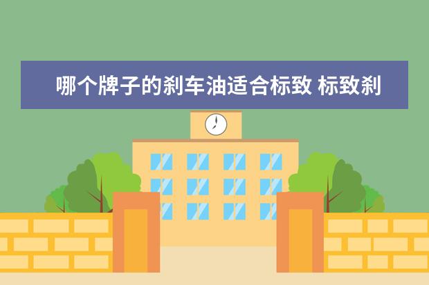 哪个牌子的刹车油适合标致 标致刹车油使用时要注意什么?