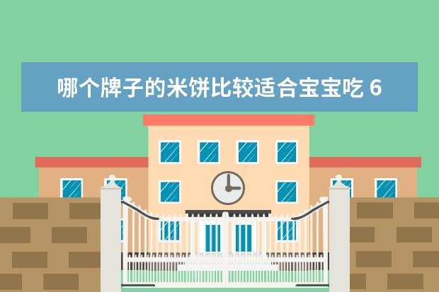 哪个牌子的米饼比较适合宝宝吃 6月龄宝宝零食米饼你们怎么选择?
