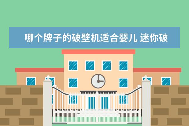 哪个牌子的破壁机适合婴儿 迷你破壁机哪个牌子质量最好用