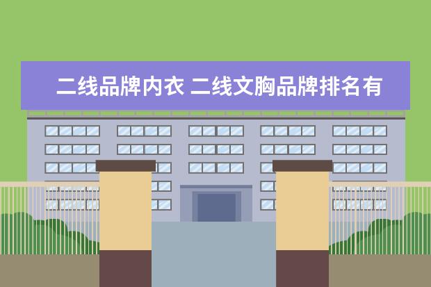 二线品牌内衣 二线文胸品牌排名有哪些?哪个性价比好?