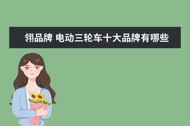 翎品牌 电动三轮车十大品牌有哪些?