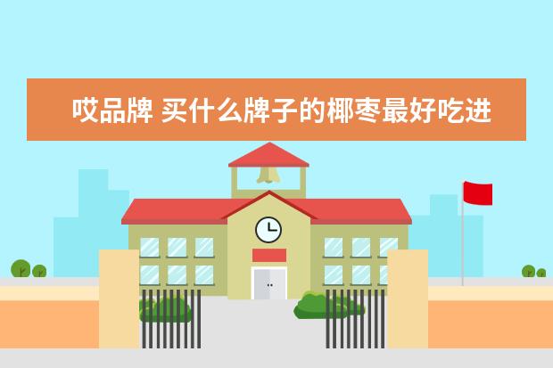 哎品牌 买什么牌子的椰枣最好吃进口安全吗?
