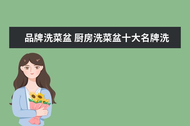 品牌洗菜盆 厨房洗菜盆十大名牌洗菜盆,是哪些牌子