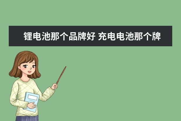 锂电池那个品牌好 充电电池那个牌子好