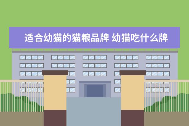 适合幼猫的猫粮品牌 幼猫吃什么牌子的猫粮比较合适?