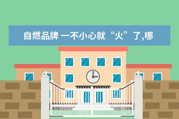 自燃品牌 一不小心就“火”了,哪些品牌的汽车发生过自燃事件?...