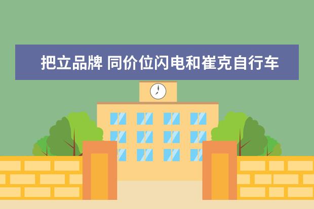 把立品牌 同价位闪电和崔克自行车选择哪个品牌?