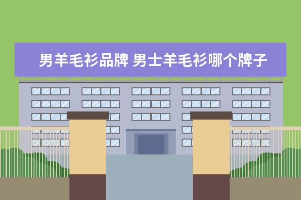 男羊毛衫品牌 男士羊毛衫哪个牌子质量好