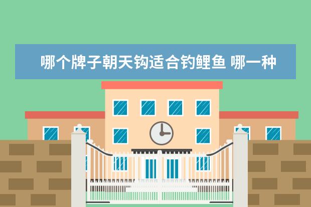 哪个牌子朝天钩适合钓鲤鱼 哪一种朝天钩最好用