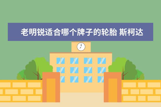 老明锐适合哪个牌子的轮胎 斯柯达明锐用什么型号的轮胎?