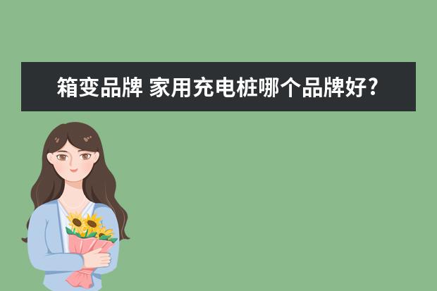 箱变品牌 家用充电桩哪个品牌好?